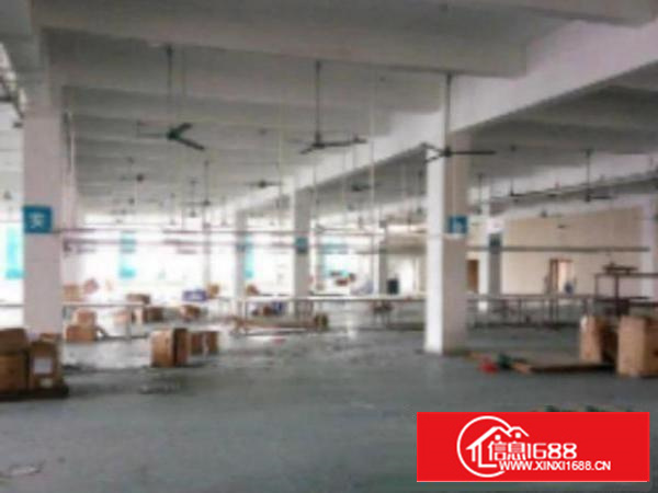 高埗现空出厂房一楼1500平方精装办公室出租