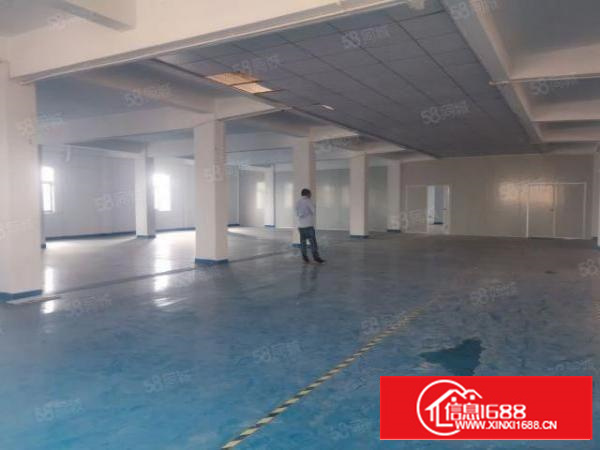 茶山新出650平有地坪漆有电梯园区形象好高大上停车位充足