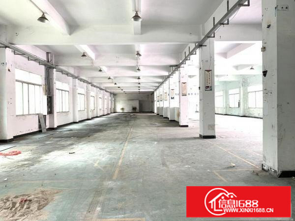 原房东厂房清溪三中高速出口独院一楼高度5米1300平出租