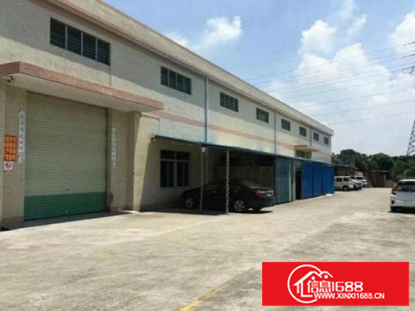 原房东低价出租！容桂细滘路简易1300平方，带红本厂房