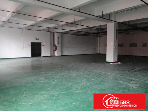 靠近深圳观澜凤岗天堂围西旺工业区仓库厂房出租楼上700平米