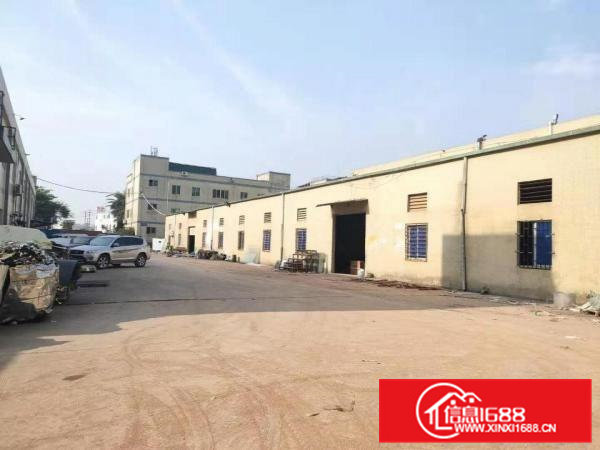 大朗大井头新出独院单一层钢构厂房滴水6米3400平方出租