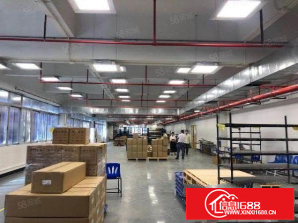龙岗坂田原房东单层面积3500平厂房出租适合物流仓储中转站
