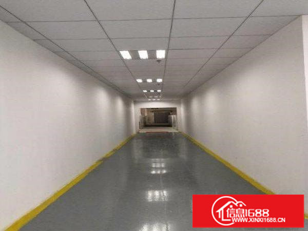 横岗六约稀缺小独院原房东带精装修出租大小可分租