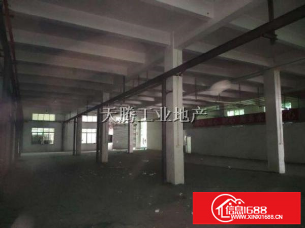 笋盘！容桂大厂房出租！6137方水泥结构，形象好！
