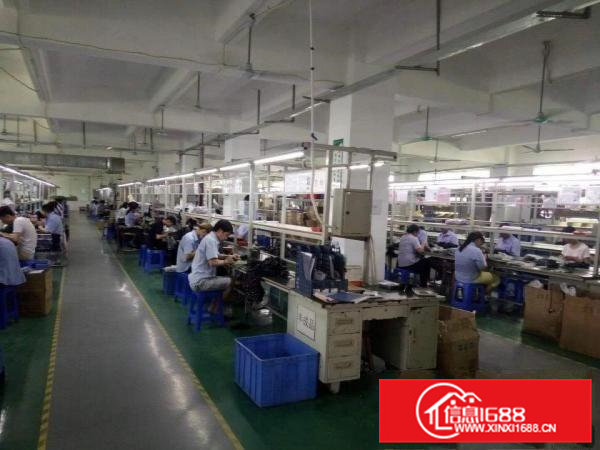 凤岗新出楼上1950带豪华装修（无需转让费）