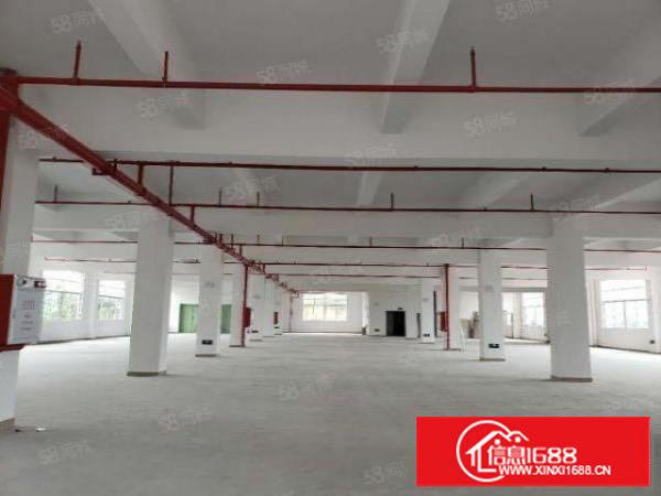 塘厦旺角路1500平标厂原房东可分租15元处理可做机械压铸