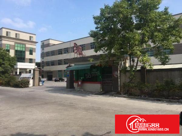 茶山镇新空出楼上2200平原房东精装修厂房出租分租