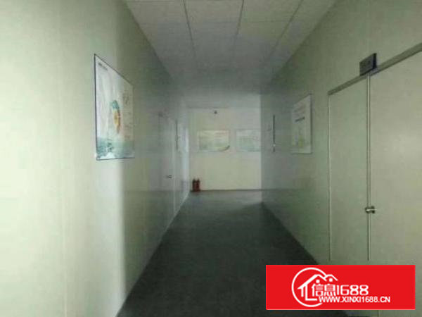 沙井共和原房东1415平米无公摊实际面积厂房出租合同五年