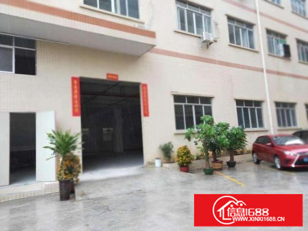 新出独院！长安1400平独院厂房出租，全新装修水电齐全