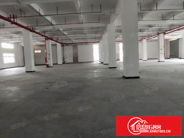 红本厂房可办环评大岭山杨屋全新厂房出租4楼1250平