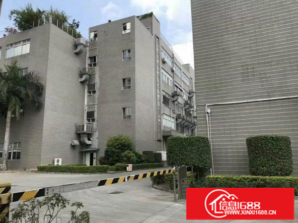 观澜梅观高速出口全新厂房出租，大小可分