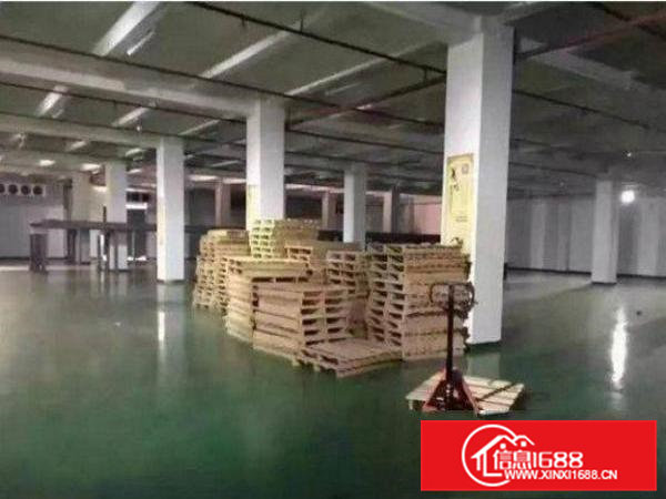 清溪大利村一楼1000平米标准厂房出租带牛角