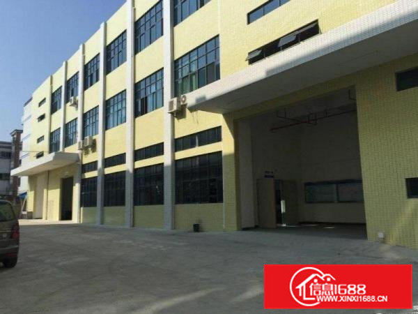 厚街大型成熟工业区带地平漆带有消防喷淋独栋招租