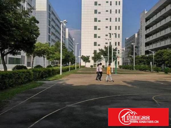 桥头镇新出全新花园式红本厂房21500平招租独栋