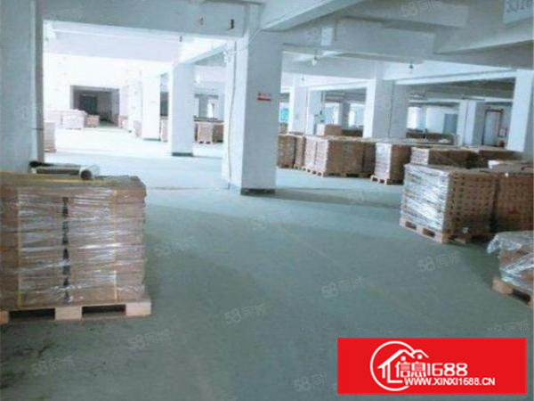 大朗洋乌新出标准厂房3000方带装修，消防合格可办环评