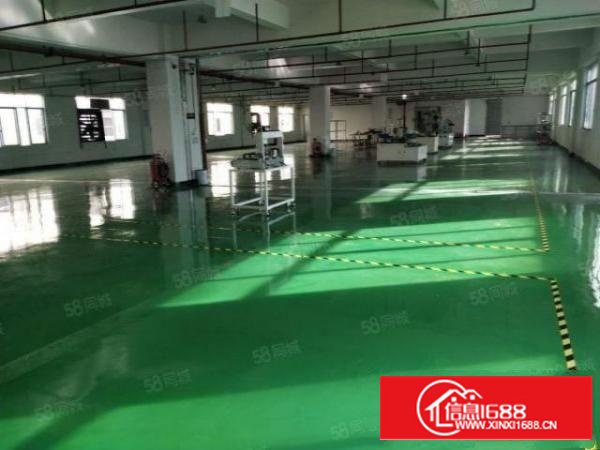 石碣镇新出标准厂房13层3000平方出租，报价15元！