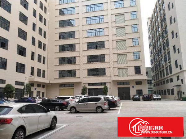 东莞大朗松木山原房东一楼1800平方出租可分租