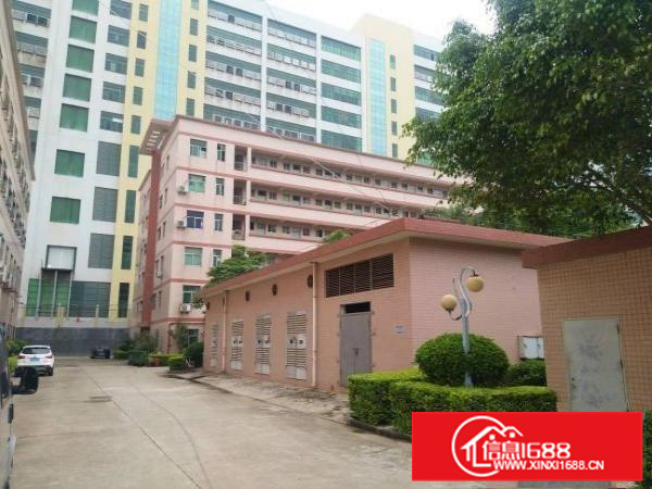 秋长新出标准厂房1500平带3吨双开电梯