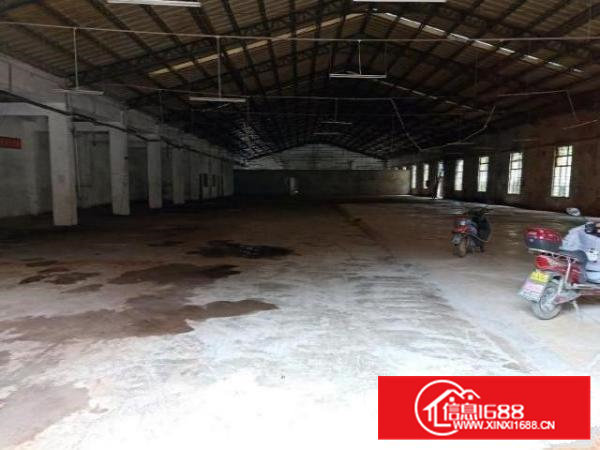 业主直租一楼钢构厂房石岩石龙仔