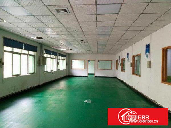 塘厦138刚空出1000平标准楼上，现成超靓精装，16元全包