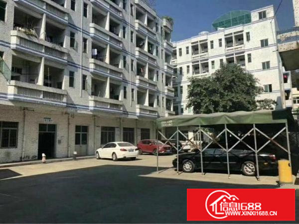 坪山新区原房东独院厂房招租，无公摊