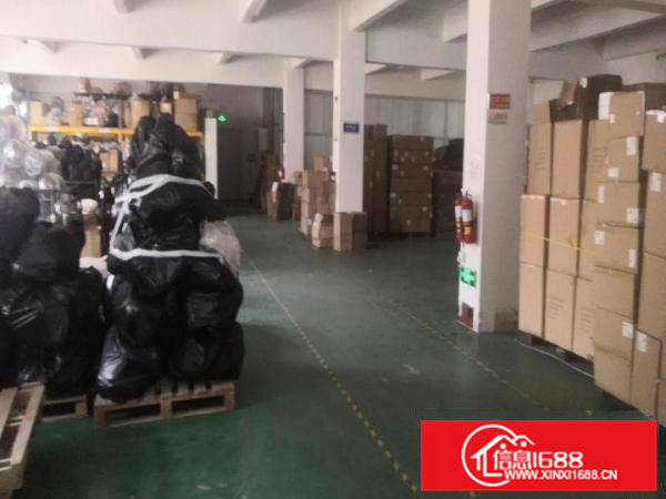 地坪漆精装修一二楼各1300平，大朗新出标准独院厂房，可分租