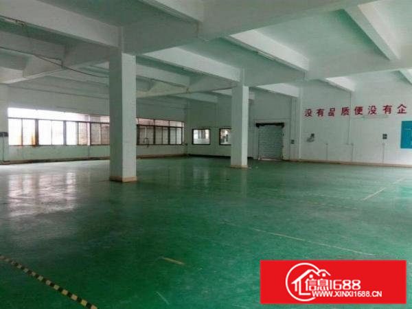 东坑镇角社工业区新出一楼标准厂房