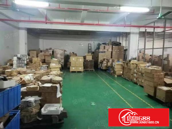 塘厦一手房东厂房独院出租水电线路齐全空地大周边人气旺