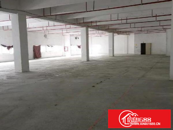 上李朗厂房，仓库出租。