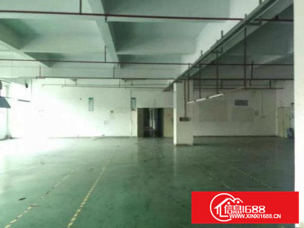 塘厦大坪高速路出口旁科苑城标准二楼750平出租