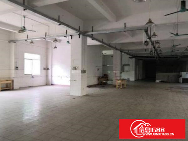 清溪罗马村新出1楼500平方，办公室装修可出租