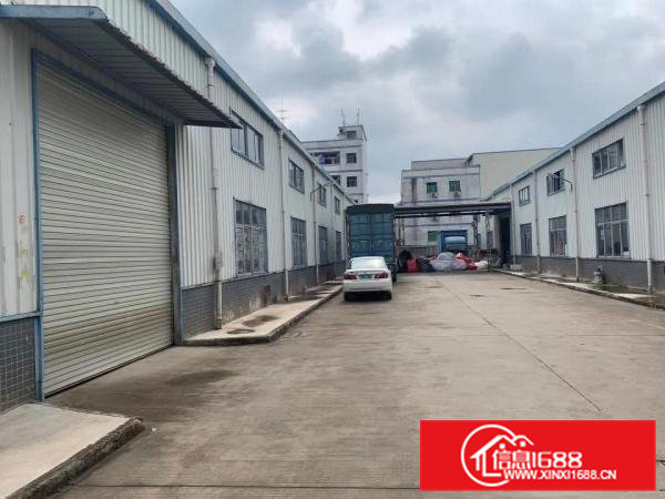 清溪独院钢构厂房出租2栋2700平米出租滴水7米可分租