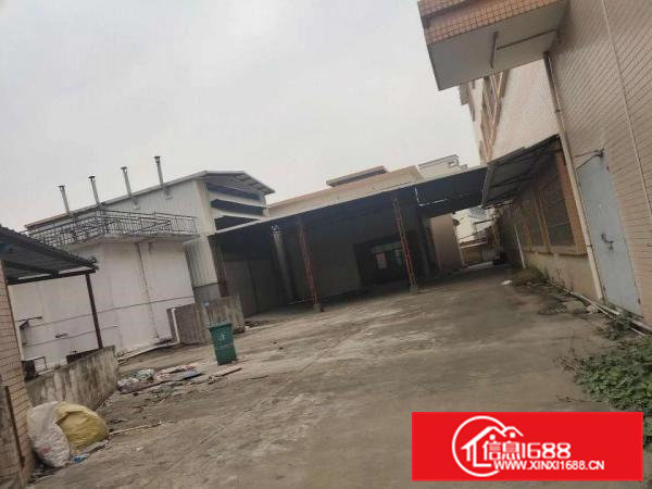 常平|常黄路独门独院厂房急租