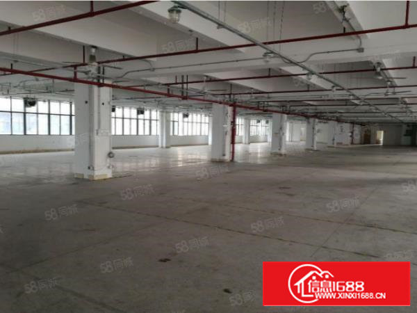 (实际面积)沙井新桥107边独院3300平方装修厂房出租