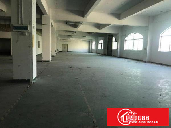 坂田板李大道标准厂房，实用率八成。位置好