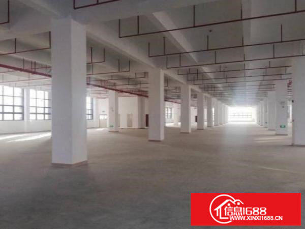 观澜石马径豪华装修厂房楼上2950平出租可分租，现成装修