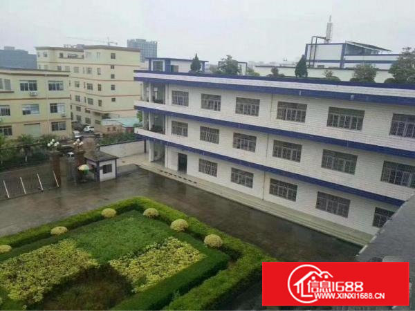 清溪镇新出花园式厂房大小可分租