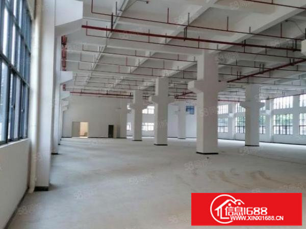 光明新区工业园3000平厂房出租大小可分租精装修办公室隔间