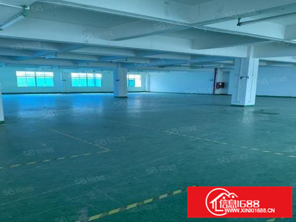 坂田上雪科技城楼上1000平招租