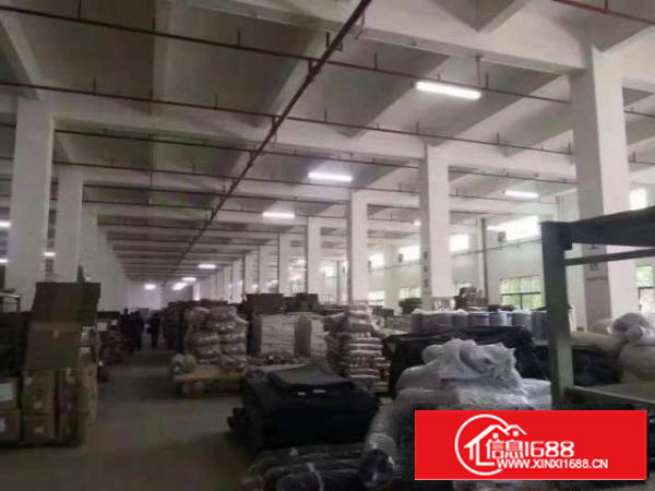 独院厂房一楼2500平方米层高6米出租，实际面积无公摊