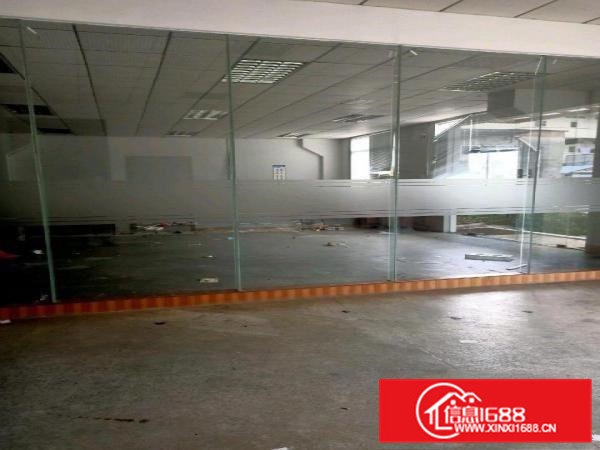 横沥原房东标准独院出租