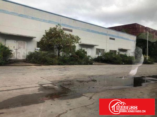 横沥东部快速口山厦工业区带牛角单一层500平米带装修厂房出租