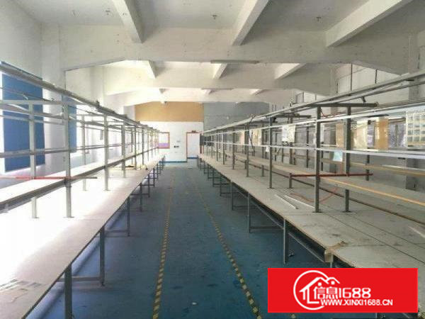 新盘：沙湖精装修的5600平方米标准独院厂房招租