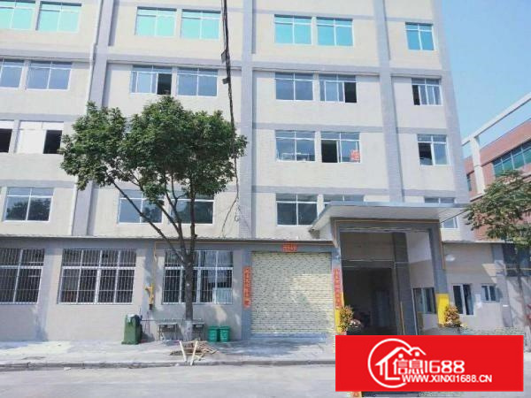 勒流标准1500方厂房出租，带消防喷淋，有房产证