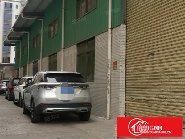 原房东）大朗新出钢构单一层厂房1250平，0公摊，可分租