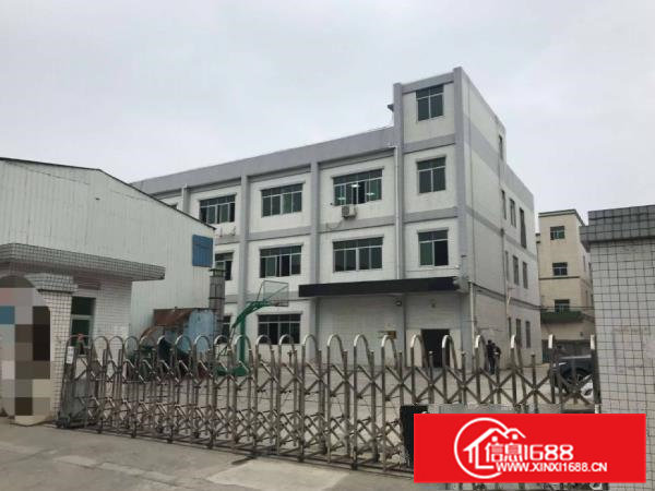 桥头迳联新出一楼1550平方，厂房现成装修