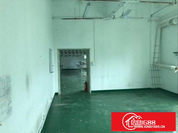 坂田一楼360平起分租，采光好，适合办公，电商