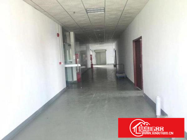 清溪镇高新科技园9500平米独栋标准厂房，报19可谈