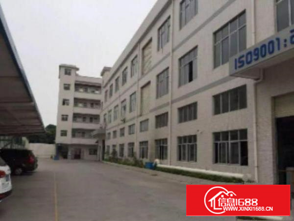 万江带现成装修标准一楼600或800平方招租地板漆车间，